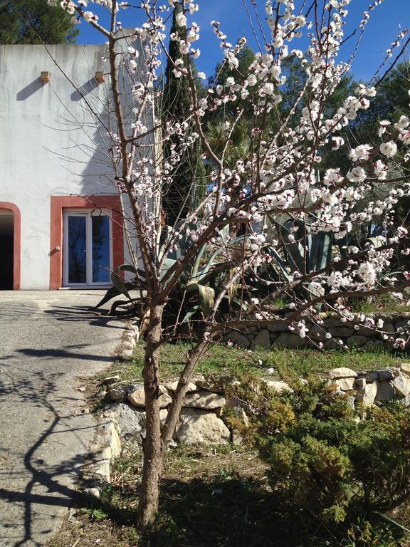 Villa Diego كاستيلنو-لو-ليه المظهر الخارجي الصورة